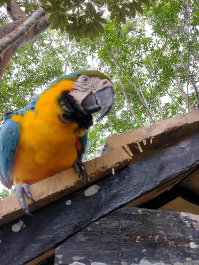 Hotel Alto Amazonas เลติเซีย ภายนอก รูปภาพ