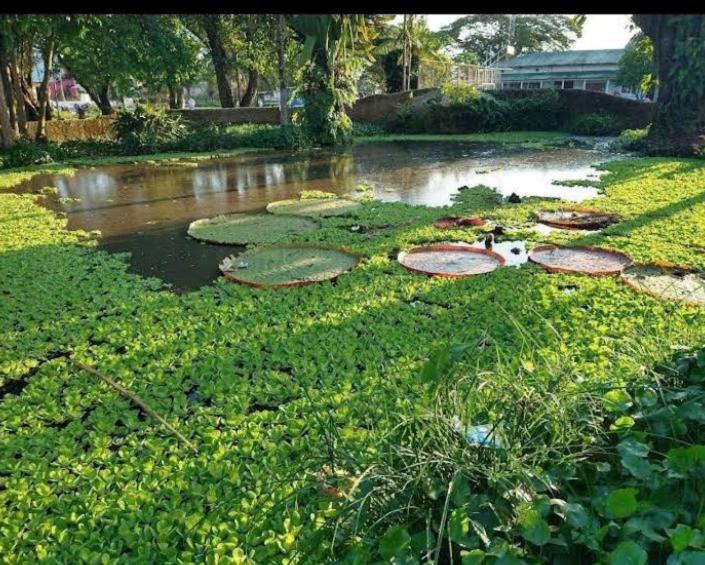 Hotel Alto Amazonas เลติเซีย ภายนอก รูปภาพ